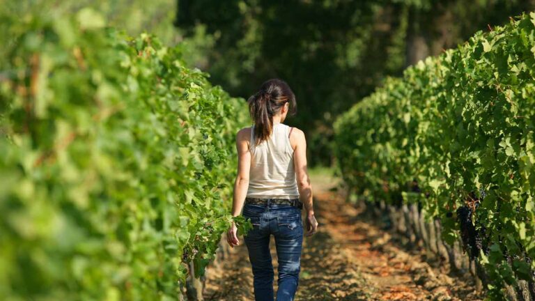 Lire la suite à propos de l’article Nouvelle vague : ces vignerons qui font bouger les lignes