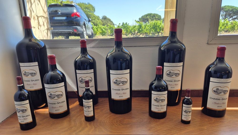 Bouteilles de vin du Château Chasse-Spleen Médoc iDealwine