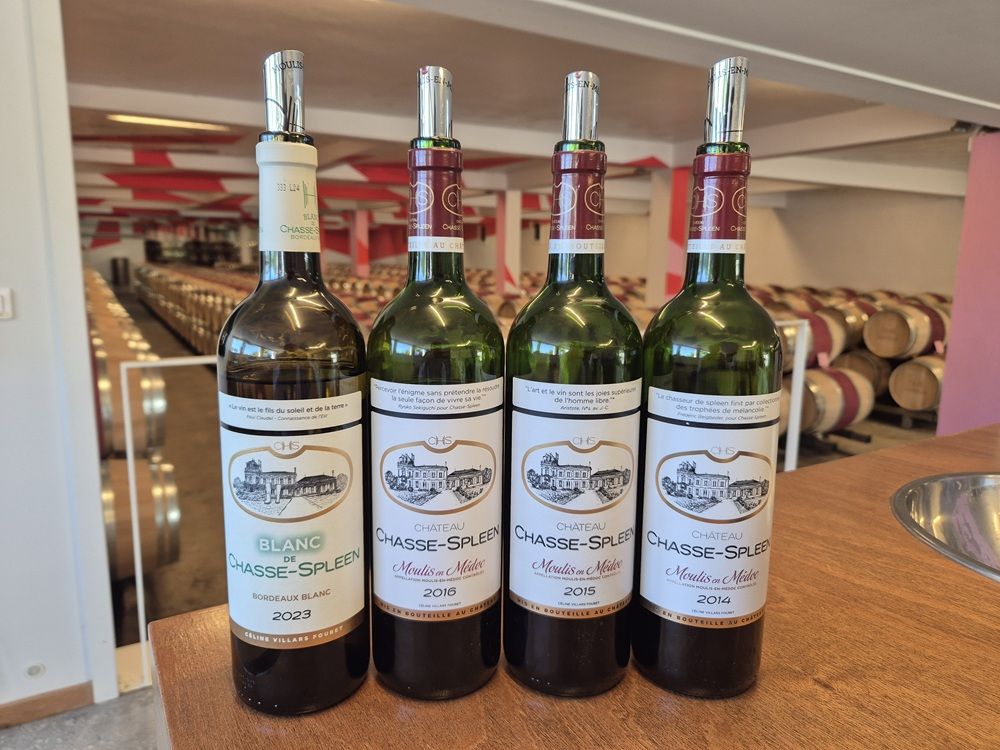 Bouteilles de vins du Château Chasse-Spleen dégustation iDealwine