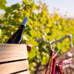 Le Tour de France des vins à moins de 15€
