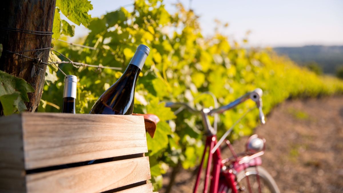 Lire la suite à propos de l’article Le Tour de France des vins à moins de 15€
