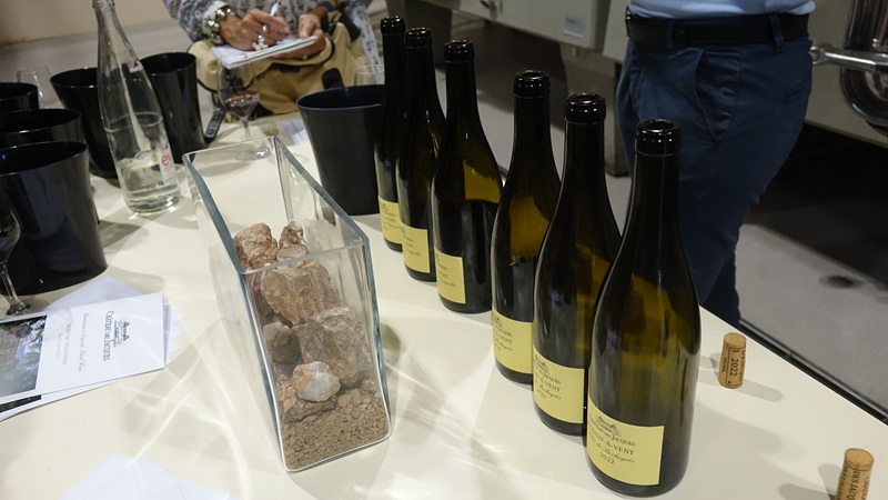 iDealwine dans les vignes Chateau des Jacques bouteilles