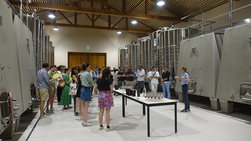 iDealwine dans les vignes Chateau des Jacques cuverie