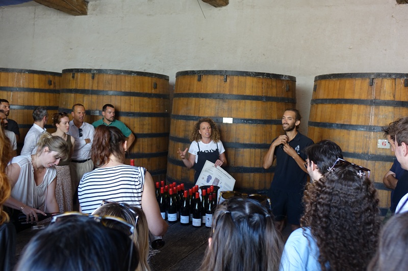 iDealwine dans les vignes Marcel Lapierre chai foudres