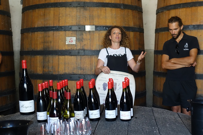 iDealwine dans les vignes Marcel Lapierre dégustation