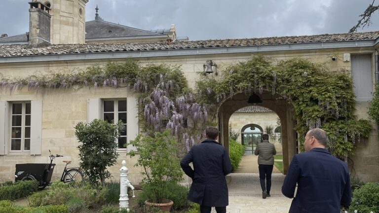 Lire la suite à propos de l’article Primeurs 2024 | Ce qu’a acheté notre équipe