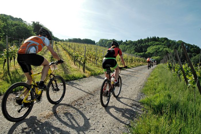 tour de france vin