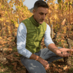 Domaine Lorenzon : des vignes hautes en Côte Chalonnaise