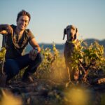 Damascene : un domaine sud-africain qui laisse les vignes et le terroir s’exprimer