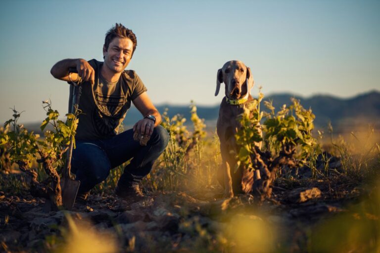 Lire la suite à propos de l’article Damascene : un domaine sud-africain qui laisse les vignes et le terroir s’exprimer