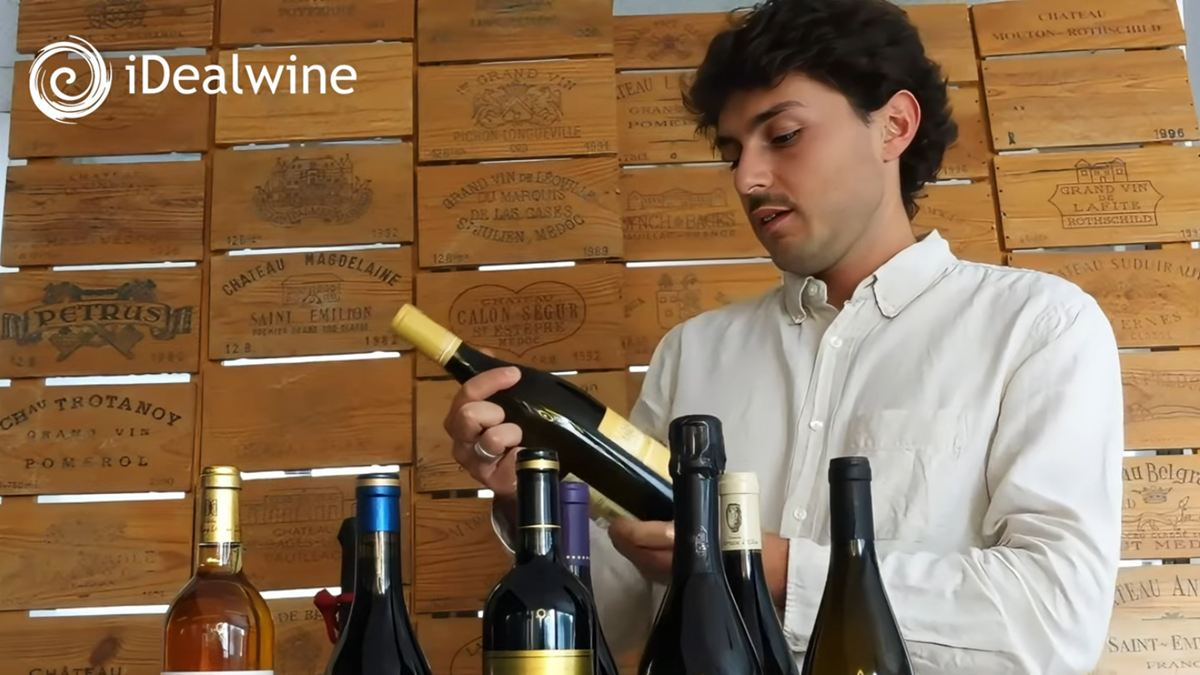 Lire la suite à propos de l’article La sélection de la Foire aux vins 2026 de notre acheteur Luca