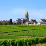 Menetou-Salon : appellation, style de vins, domaines