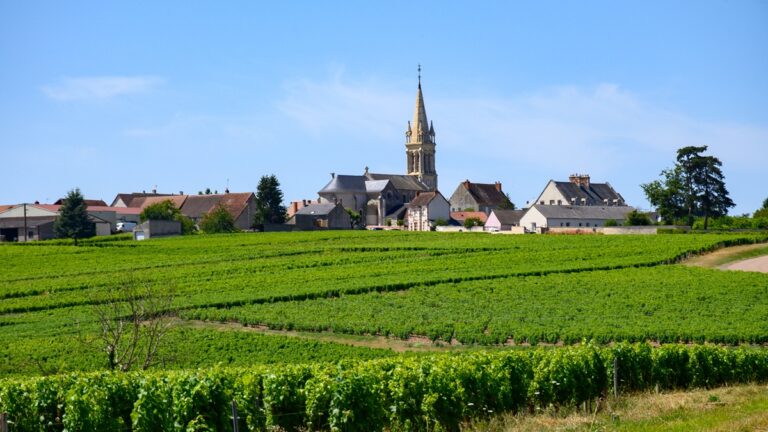 Lire la suite à propos de l’article Menetou-Salon : appellation, style de vins, domaines
