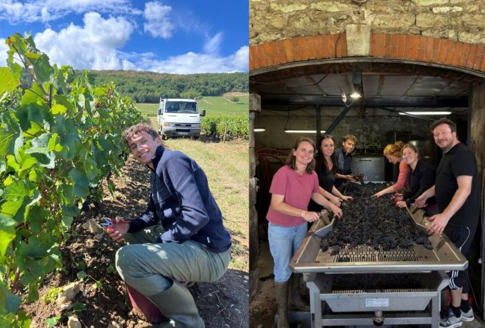 vendanges 2025 iDealwine