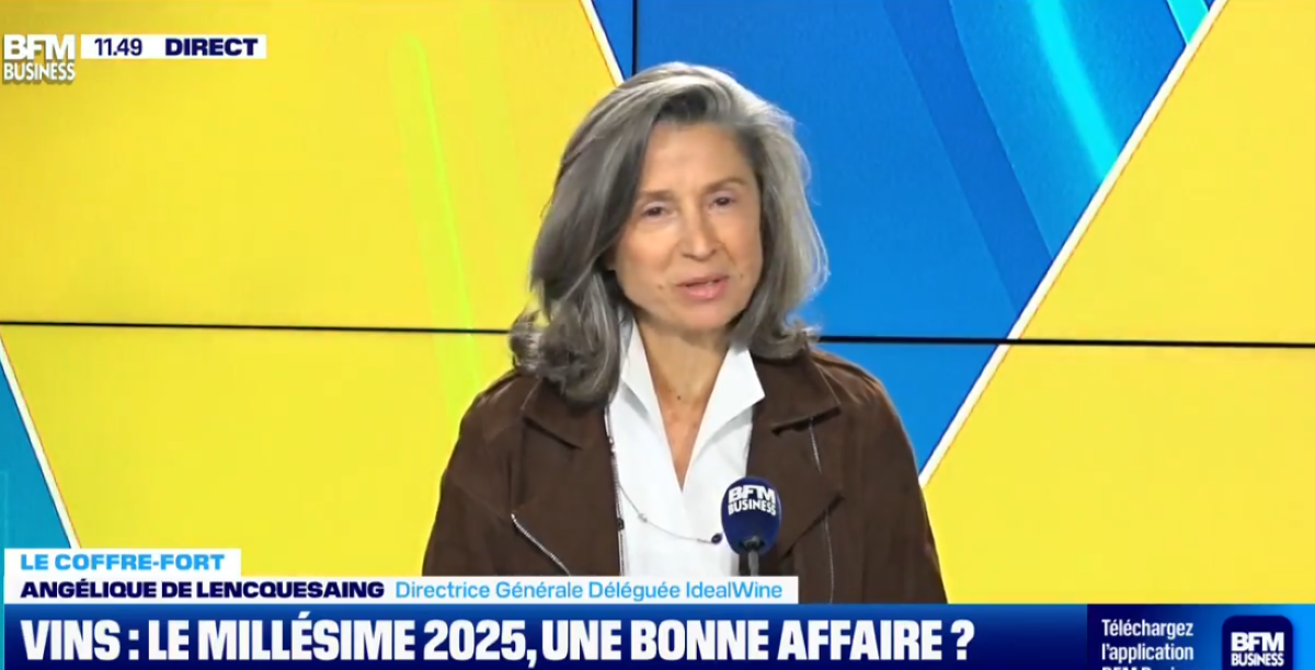 Lire la suite à propos de l’article BFM | Vendanges 2025 : un millésime à suivre… et à acheter ?