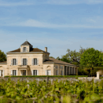 Château Montrose, un vignoble tourné vers l’avenir