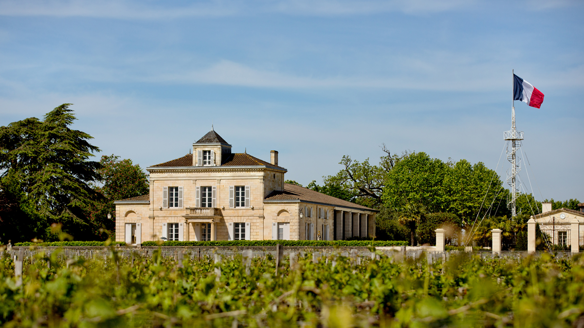Lire la suite à propos de l’article Château Montrose, un vignoble tourné vers l’avenir