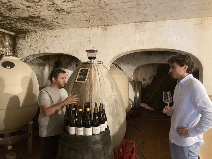 vins vaccelli