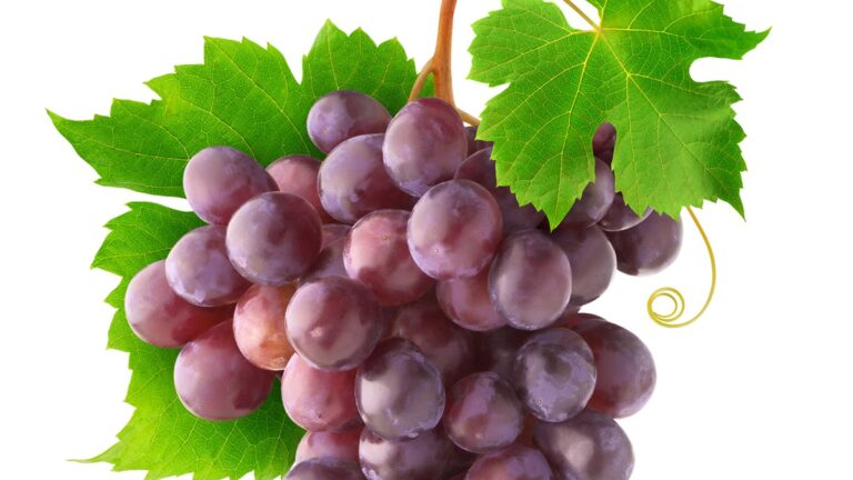 Lire la suite à propos de l’article Le chardonnay rose entre dans l’AOC Champagne