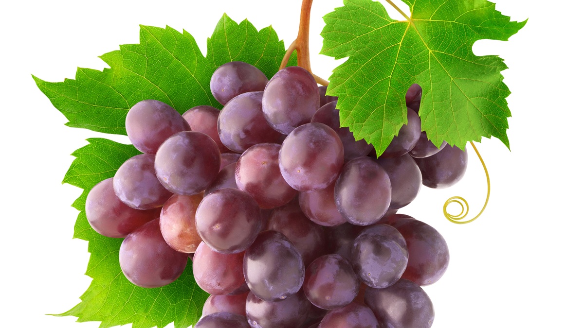 Lire la suite à propos de l’article Le chardonnay rose entre dans l’AOC Champagne