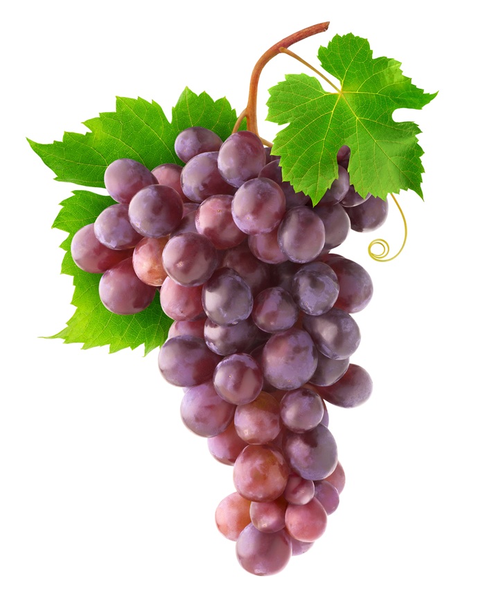 chardonnay rose