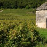 Quand Bouchard Père & Fils crée le Domaine des Cabottes