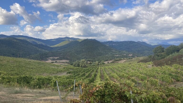 Lire la suite à propos de l’article Voyage en Corse : à la (re)découverte de grands vins