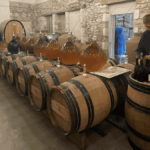 Voyage en terres angevines, à la découverte de grands vins blancs