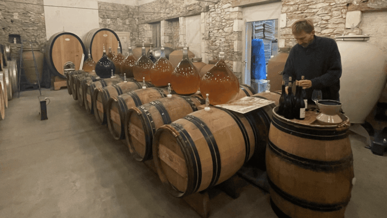 Lire la suite à propos de l’article Voyage en terres angevines, à la découverte de grands vins blancs