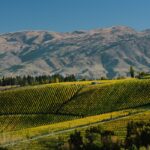 Burn Cottage Vineyard, l’art de la biodynamie en Nouvelle-Zélande