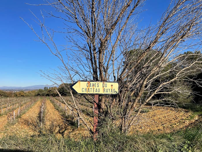 vignes de Château Rayas