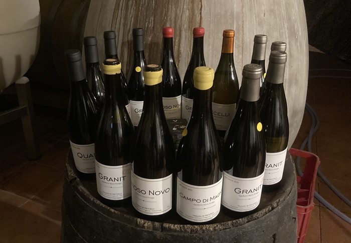 dégustation vaccelli