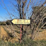Décès d’Emmanuel Reynaud, vigneron légendaire de Château Rayas