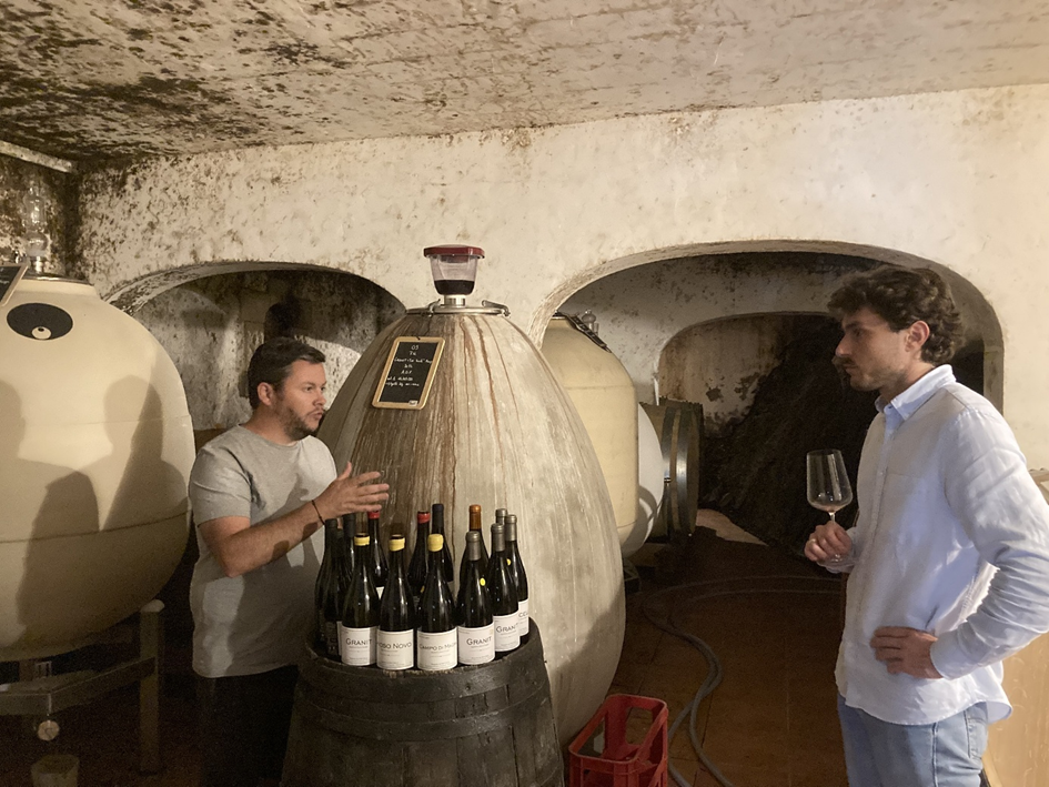 Gérard Courrèges vaccelli