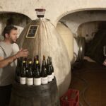 Domaine Vaccelli : l’icône corse