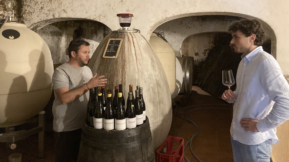 Lire la suite à propos de l’article Domaine Vaccelli : l’icône corse