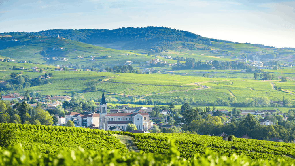 yvon métras vigneron