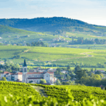 Yvon et Jules Métras : des gamays d’exceptions