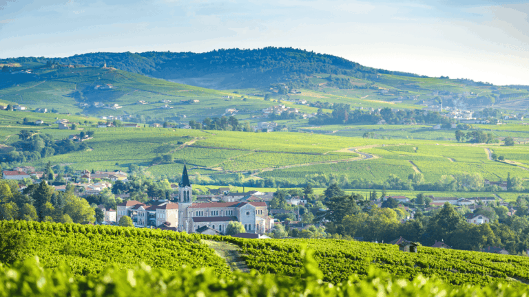 Lire la suite à propos de l’article Yvon et Jules Métras : des gamays d’exceptions