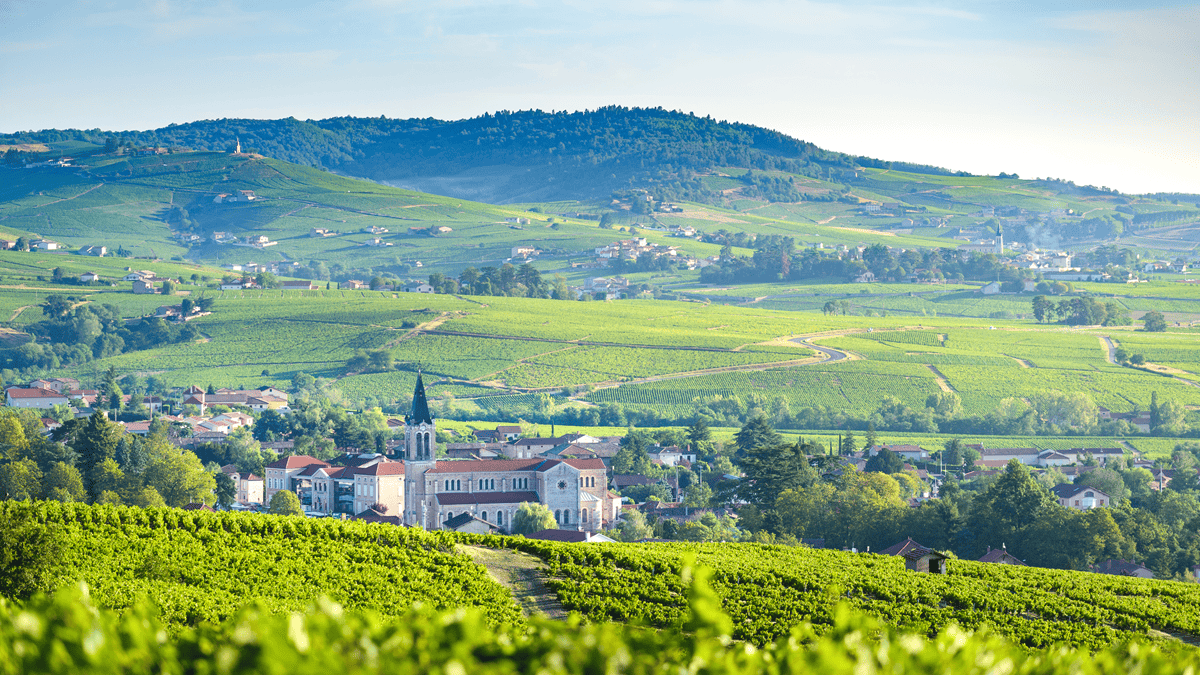 Lire la suite à propos de l’article Yvon et Jules Métras : des gamays d’exceptions