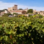 Domaine Saint Patrice : Quand l&rsquo;exigence du terroir inspire de nouvelles ambitions