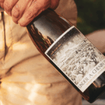 Aurélien Petit, voix du terroir sud-africain