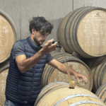 Domaine Payen : un jeune vigneron dynamique en Anjou