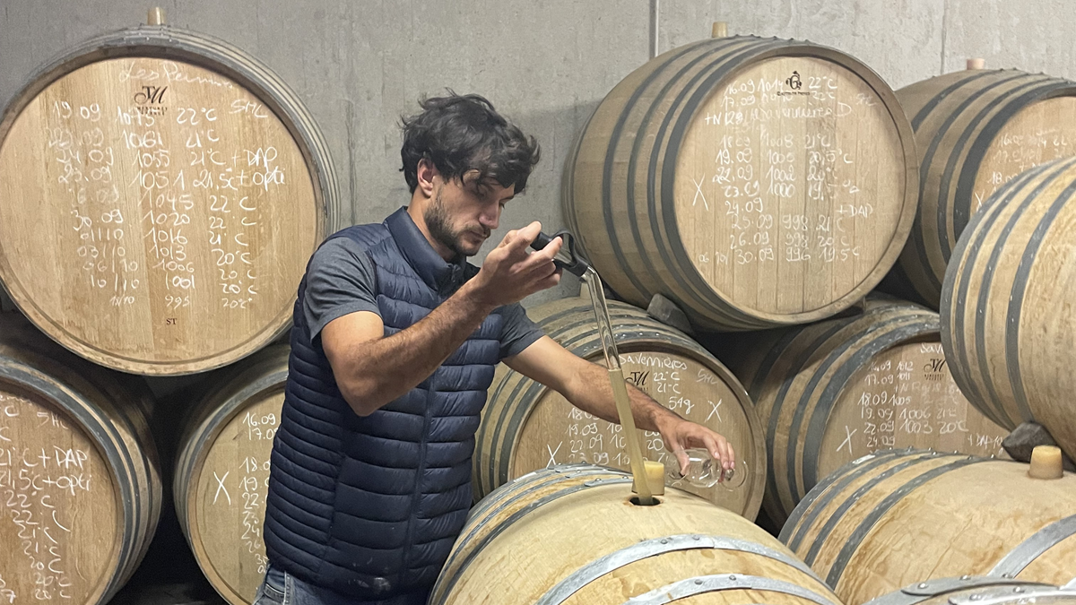 Lire la suite à propos de l’article Domaine Payen : un jeune vigneron dynamique en Anjou