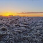 Château de Bonnezeaux : des chenins secs angevins sur une terre de liquoreux
