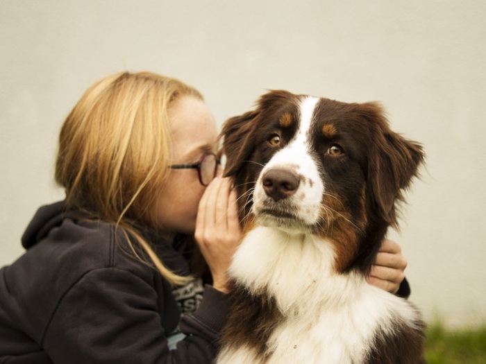 Ani nomade association dijon