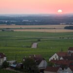 Morey-Saint-Denis : un village qui rivalise avec les plus grands