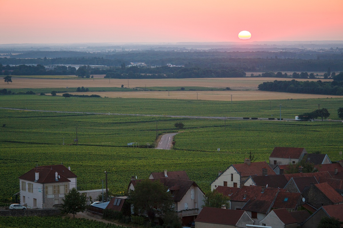 Lire la suite à propos de l’article Morey-Saint-Denis : un village qui rivalise avec les plus grands