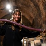 Hélène Charbaut, oeil attentif sur les cépages et terroirs en Vallée de la Marne