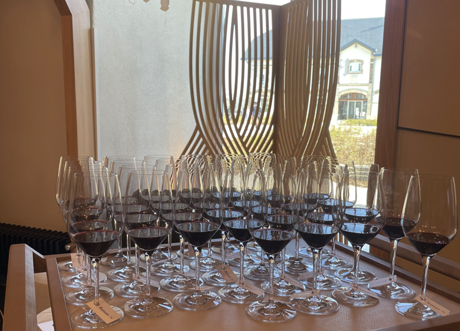 Concours de dégustation à la maison Ruinart